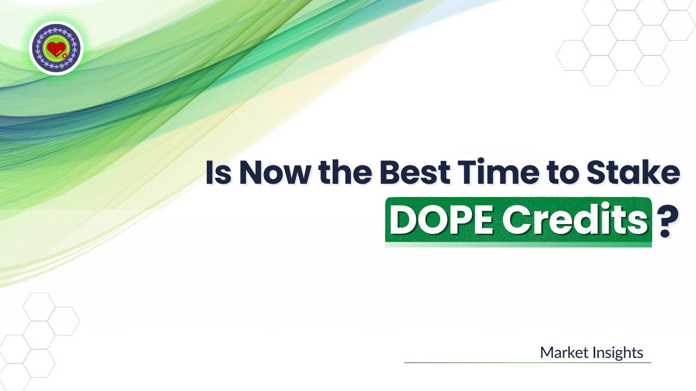 Is Now the Best Time to Stake DOPE Credits? Market Insights